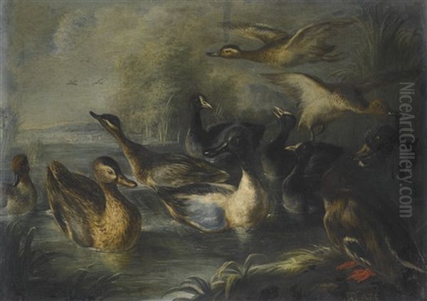 River Landscape With Ducks - view 1