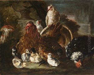 Hof Mit Henne, Perlhuhn, Kuken, Maulwurf Und Pilz by Baldassare De Caro