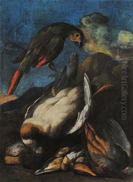 Natura Morta Con Anatre E Pappagalli - view 1