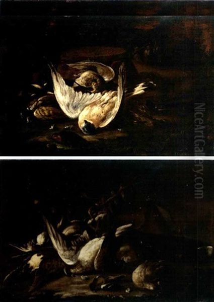 Nature Morte Con Cacciagione (pair) - view 1