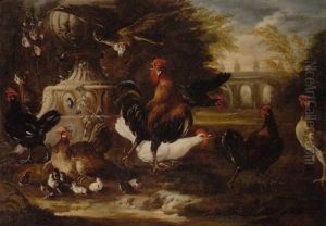 Geflugelhof, Bedroht Von Einem Raubvogel, Der Schon Ein Kuken Gerissen Hat