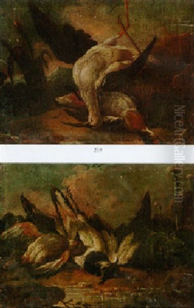 Dead Birds On Banks - view 1