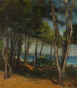 Vue D'un Littoral A Travers Les Pins