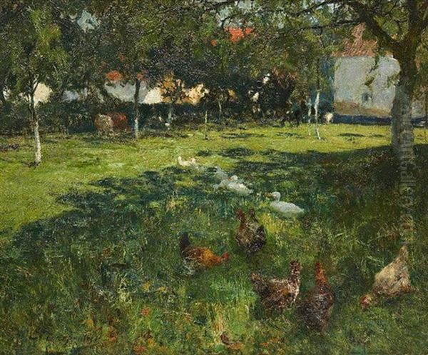 Canards Et Poules Au Pre - view 1