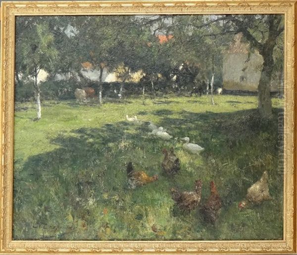 Canards Et Poules Dans Une Prairie - view 1