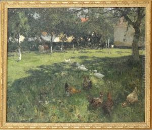 Canards Et Poules Dans Une Prairie