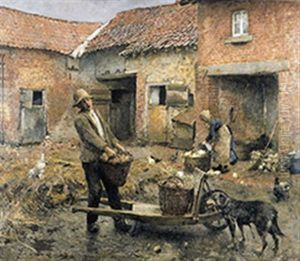 Cour De Ferme Cour De Ferme