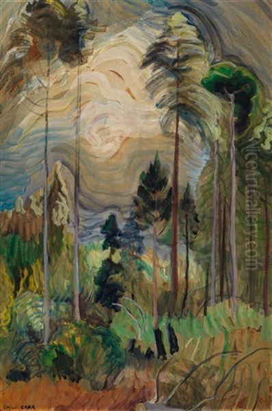 Bc Forest Interior - view 1