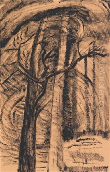 Two Trees In Wood - view 1
