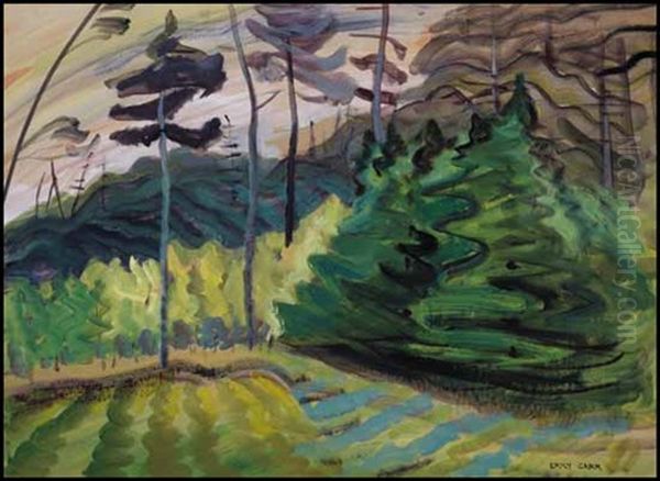 Bc Forest - view 1
