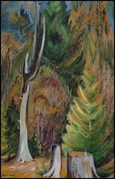 Westcoast Forest Edge - view 1