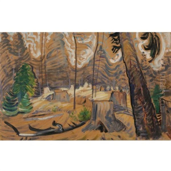 Forest Interior - view 1
