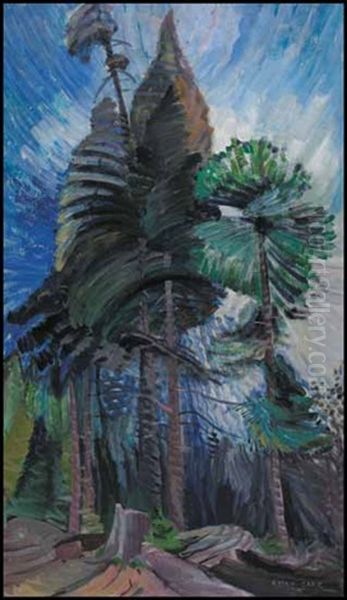 Wind In The Tree Tops - view 1