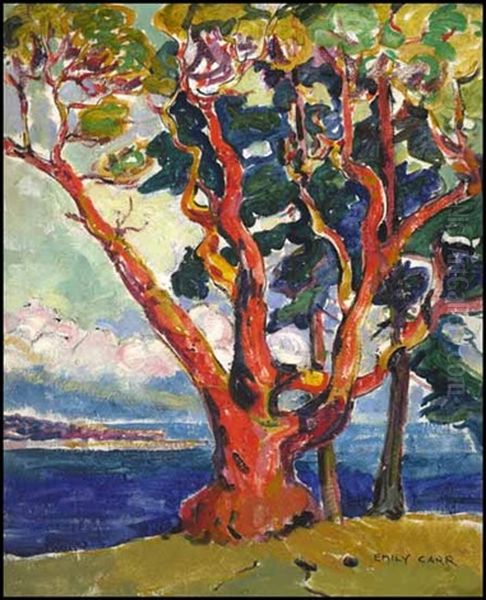 Arbutus Tree/untitled Portrait Verso - view 1