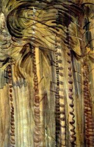 Forest Interior by Emily M. Carr
