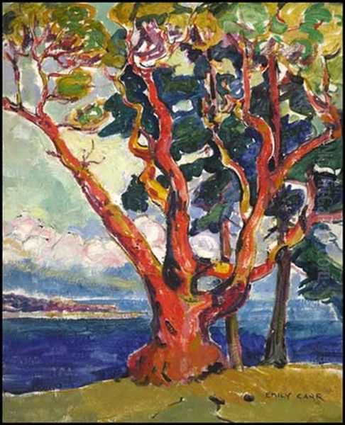 Arbutus Tree (+ Portrait, Verso) - view 1