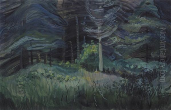 Summer, Mount Douglas Park - view 1