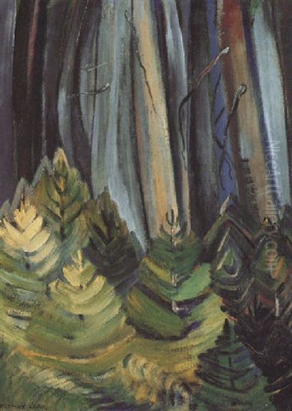 British Columbia, Forest Interior - view 1