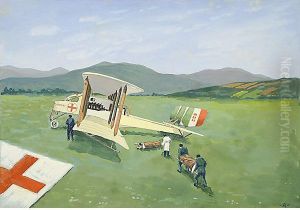 Aereo Caproni Croce Rossa by C Ambrosi