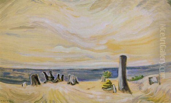 Beach Scene, Strait Of Juan De Fuca - view 1