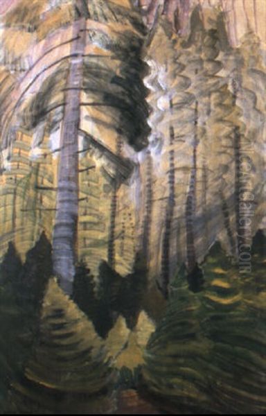 Forest - view 1