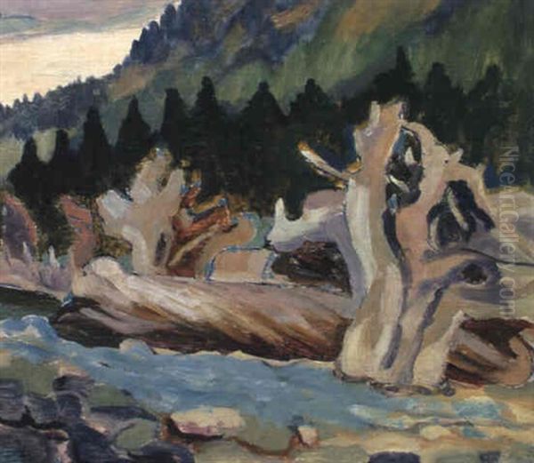 Driftwood - view 1