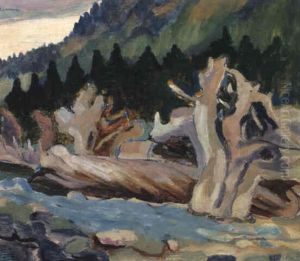 Driftwood