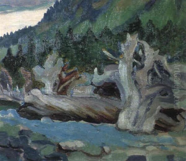 Old Stumps, Cordova Bay - view 1