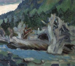 Old Stumps, Cordova Bay