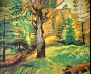 Tree Study Tree Study
