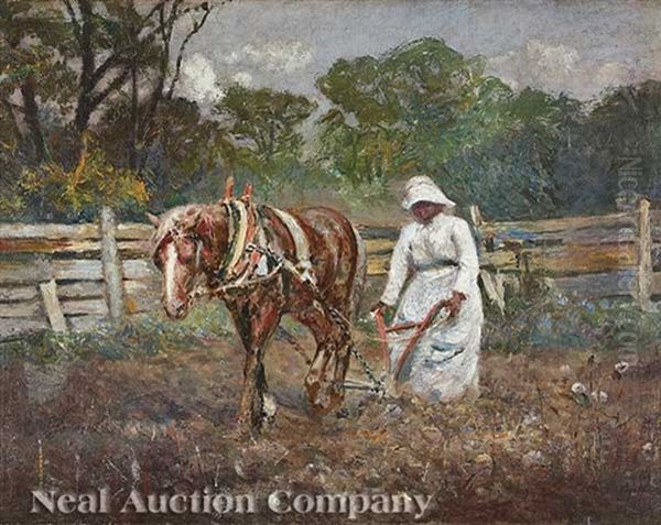 Plowing The Cotton Field, Tallapoosa, Georgia - view 1