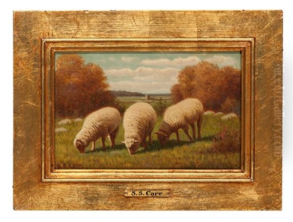 Sheep In Meadow - view 1
