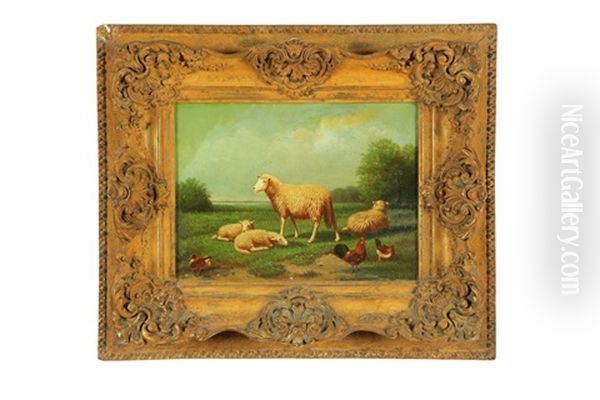 Sheep At Pasture - view 1