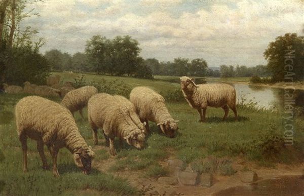 Sheep Grazing Near A Stream - view 1