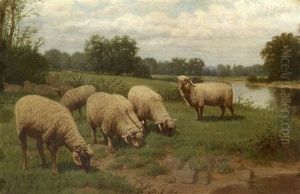 Sheep Grazing Near A Stream Sheep Grazing Near A Stream