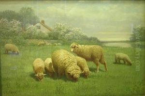 Sheep Grazing In A Meadow With Cottage And Stream In Background by Samuel S. Carr