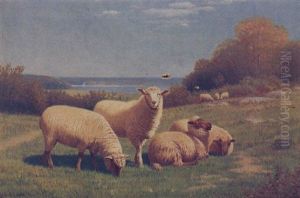 Pastoral Landscape With Flock Of Sheep, Small Flock Of Sheep In Background With Lake by Samuel S. Carr
