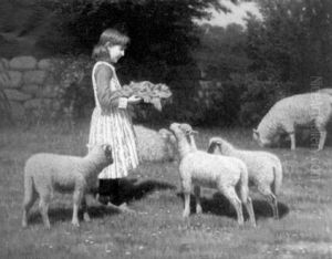 Feeding The Lambs by Samuel S. Carr