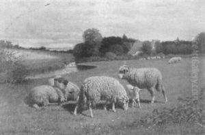 Grazing Sheep Grazing Sheep