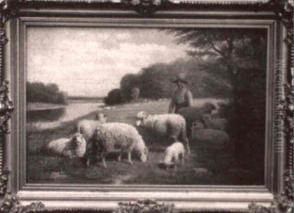 Boy With Sheep - view 1