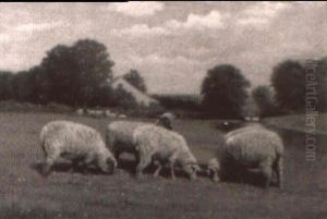 Sheep Grazing Near Farmhouse Sheep Grazing Near Farmhouse