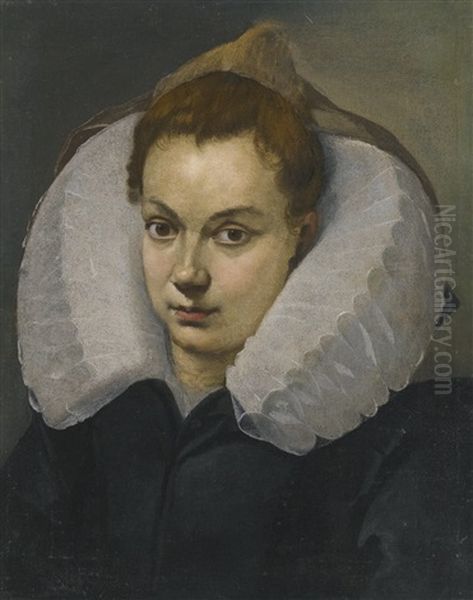 Portrait Of A Woman, Head And Shoulders, In A White Ruff - view 1