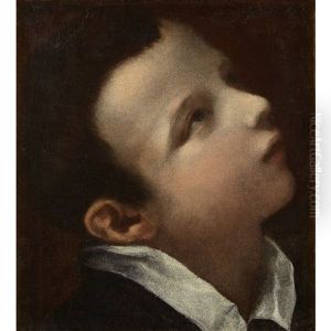 Head Of Youth Looking Upwards To The Right