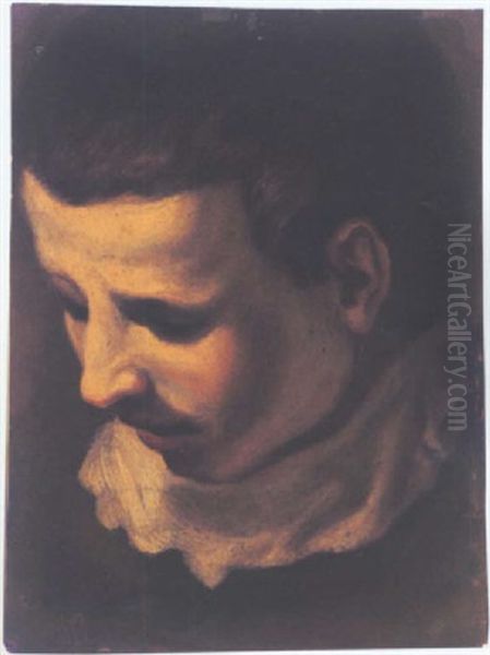 Head Of A Young Man Looking Down To The Left - view 1