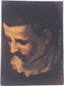 Head Of A Young Man Looking Down To The Left by Ludovico Carracci