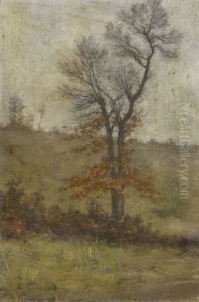 Paysage A L'arbre - view 1
