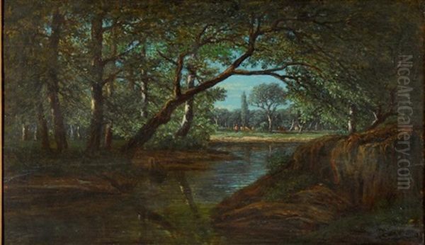 Ruisseau En Sous-bois - view 1