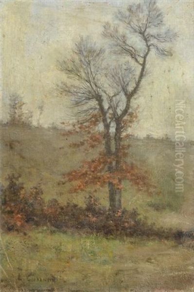 L'arbre - view 1
