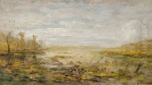 Marais Dans Les Dombes Marais Dans Les Dombes