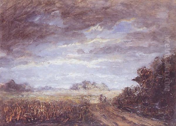 Paysage - view 1